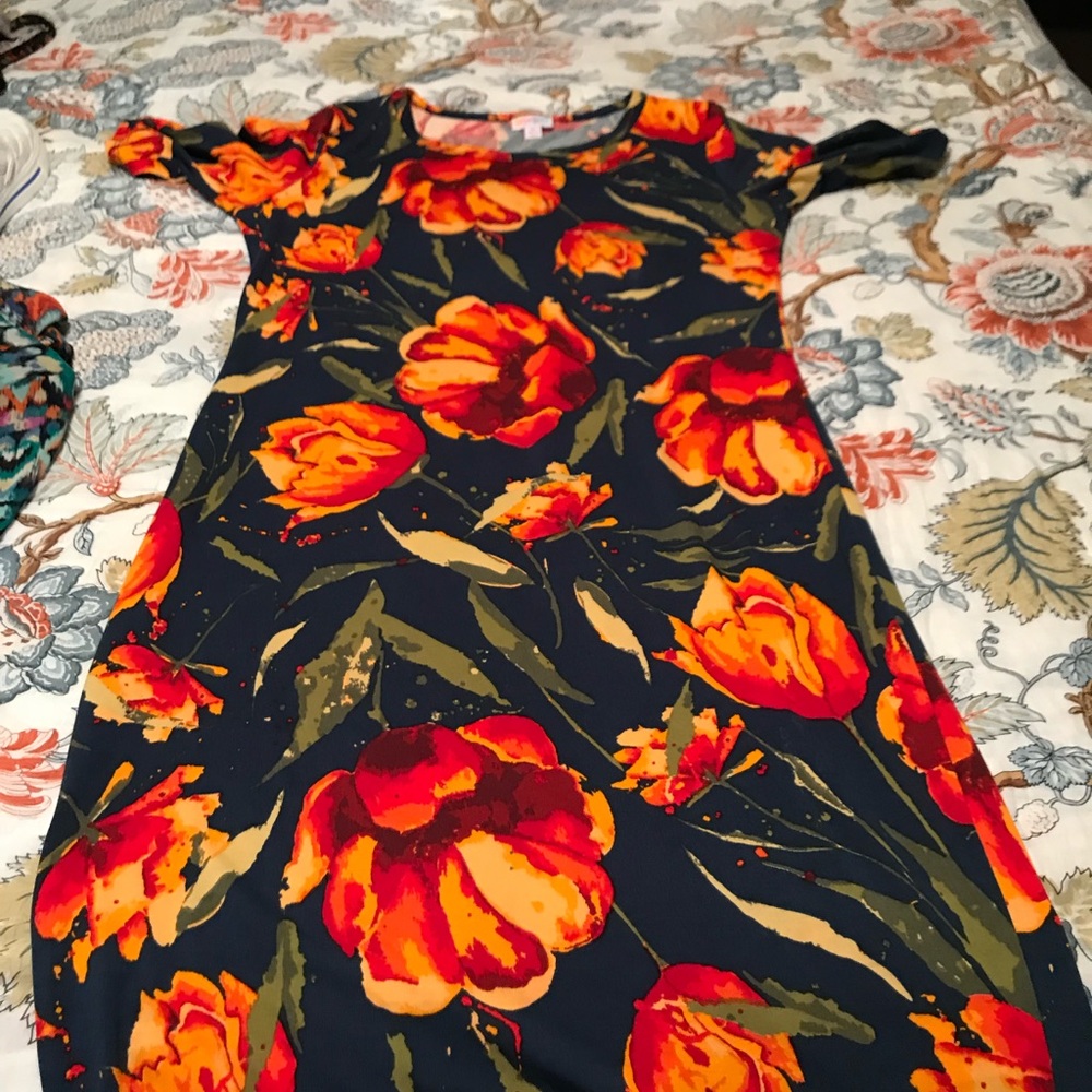 LLR Julia M